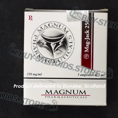 High Quality Magnum Mag-Jack 250 in USA — photo 1