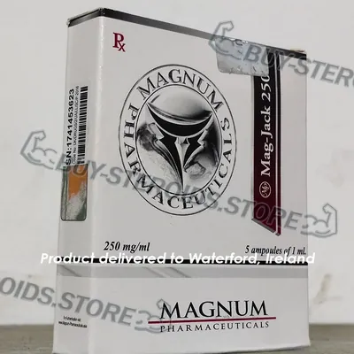 High Quality Magnum Mag-Jack 250 in USA — photo 2