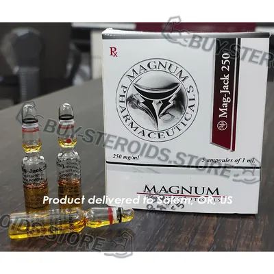 High Quality Magnum Mag-Jack 250 in USA — photo 3