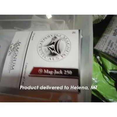 High Quality Magnum Mag-Jack 250 in USA — photo 5