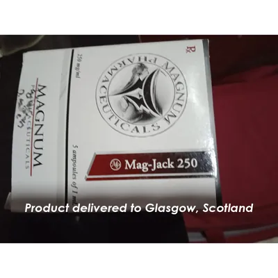 High Quality Magnum Mag-Jack 250 in USA — photo 6