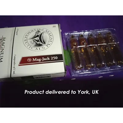 High Quality Magnum Mag-Jack 250 in USA — photo 7