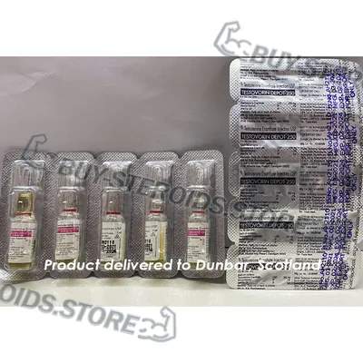 High Quality Testovorin Depot-250 in USA — photo 1