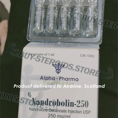 High-Quality Nandrobolin in the USA — photo 1