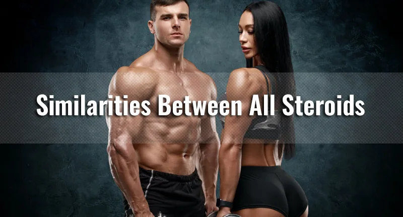 Similarities Between Steroids