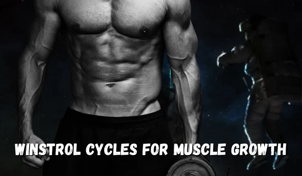 Winstrol cycles for muscle growth